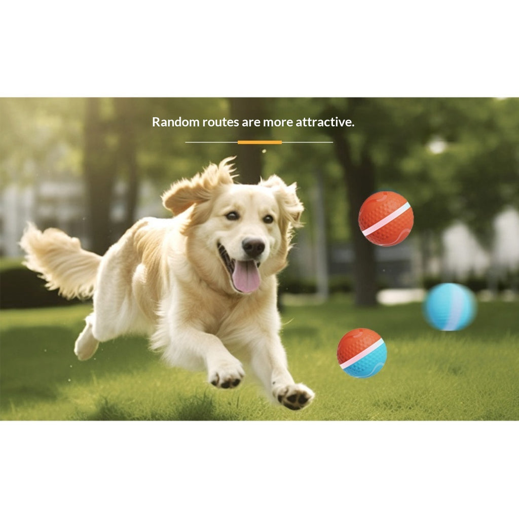 Smart Electric Luminous Ball Dog & Cat Toy