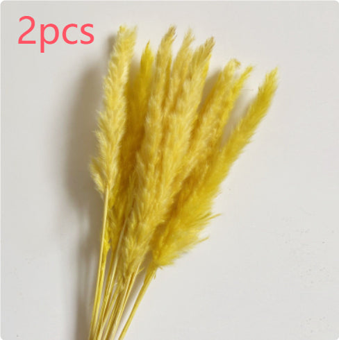 e956c0f0e322d5f725c7eae33f54ca8e