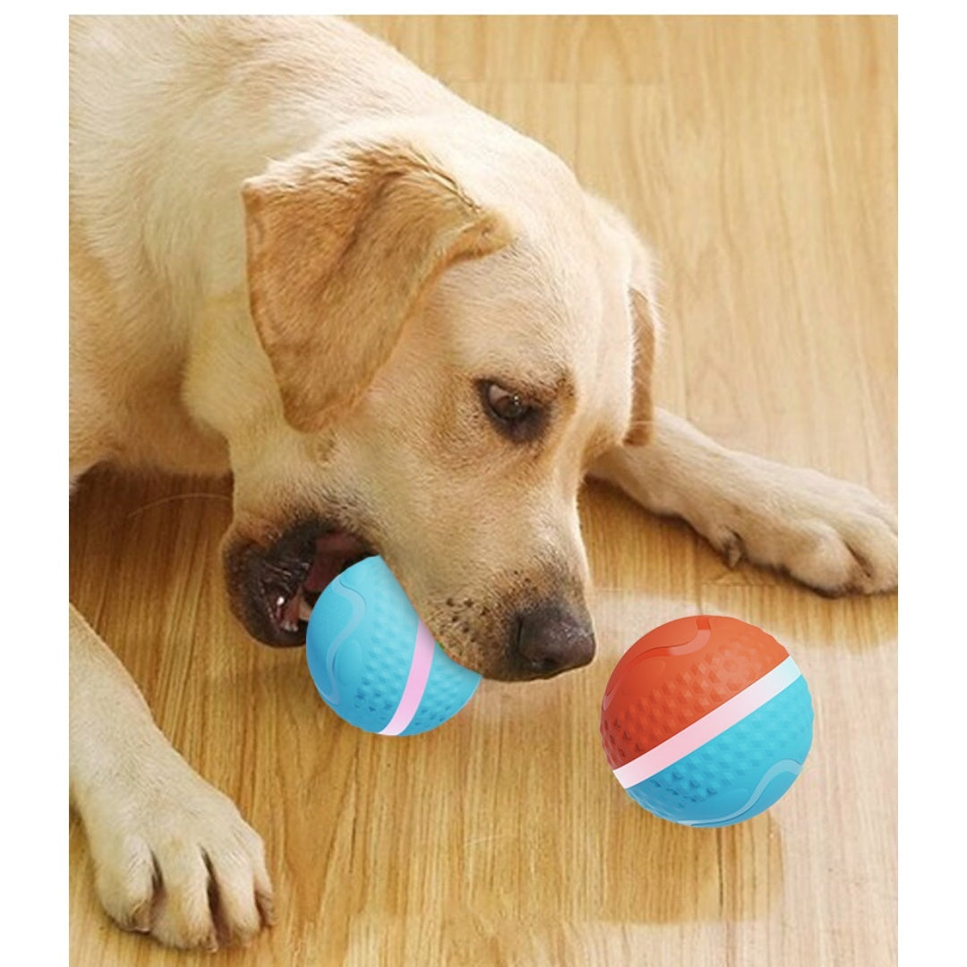 Smart Electric Luminous Ball Dog & Cat Toy