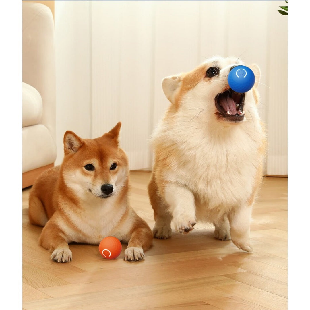 Gravity Bouncing Electric Interactive Dog Toy Ball For Self-Play, Suitable For Large Dogs & Cats.