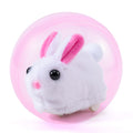 Hamster Rolling Ball Toy Universal