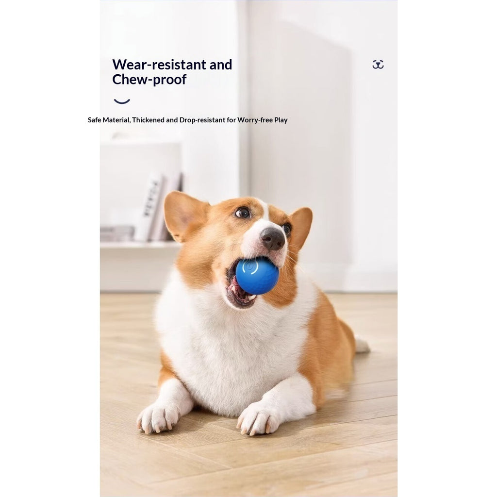 Gravity Bouncing Electric Interactive Dog Toy Ball For Self-Play, Suitable For Large Dogs & Cats.