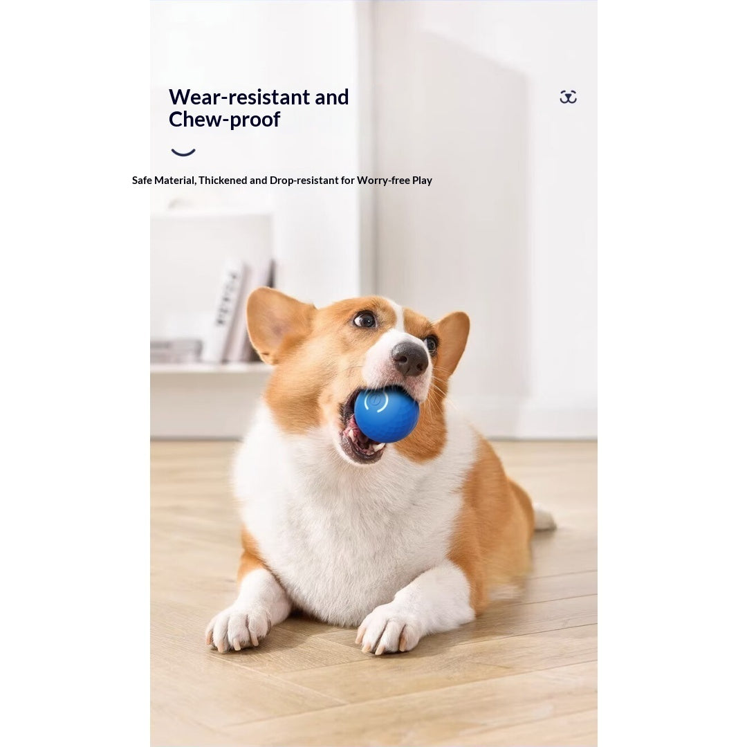 Gravity Bouncing Electric Interactive Dog Toy Ball For Self-Play, Suitable For Large Dogs & Cats.