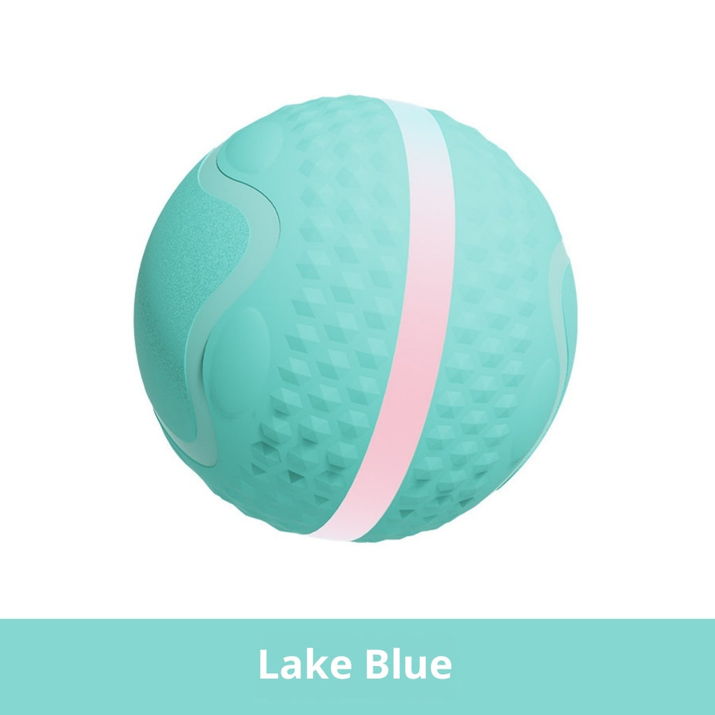 Smart Electric Luminous Ball Dog & Cat Toy