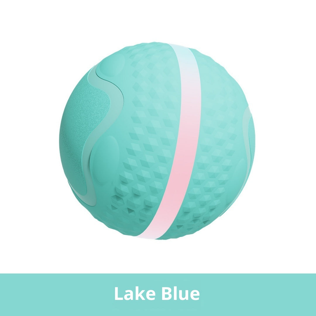 Smart Electric Luminous Ball Dog & Cat Toy