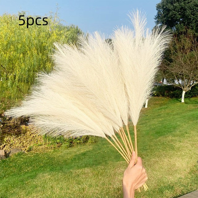 898c3c549970b195a2ae9517cf4d9005