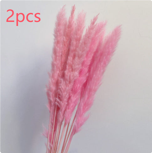 4a80a949034dab0c9eb0c86cf14448de
