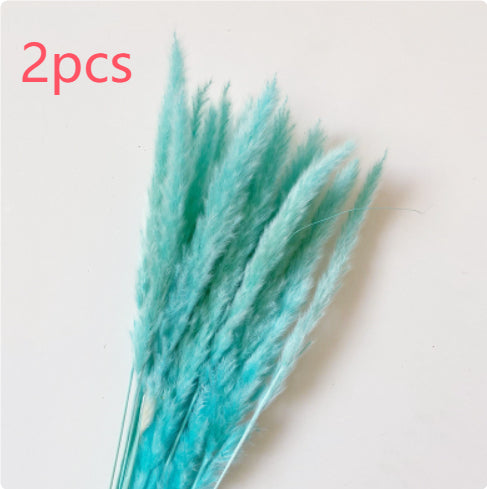 7efae1c9a531211adff2c0c8c350cf33