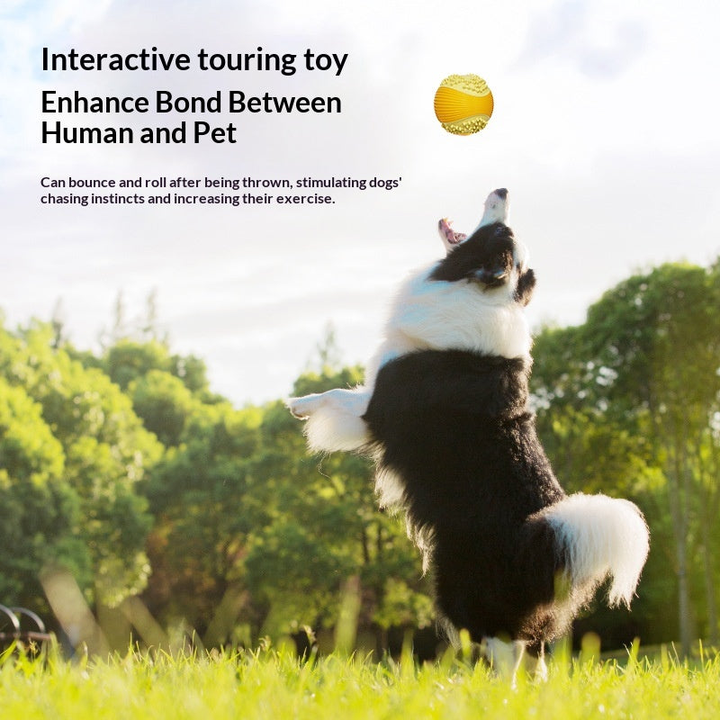 Small Size Squeaky Golf Ball Dog Chew Toy, New Material, Training Toy For Teddy & Golden.