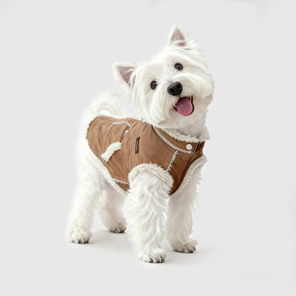 Dog Thickened Warm Cotton Coat