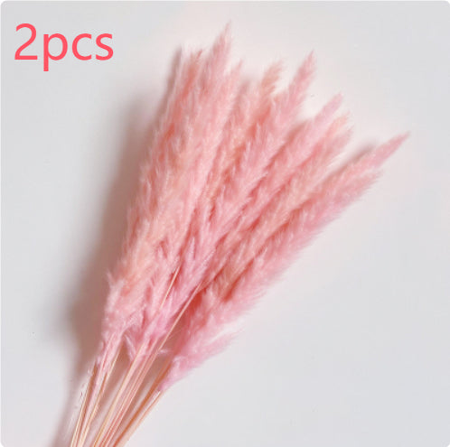 9640662cc3358a5418968cf9d19a4727