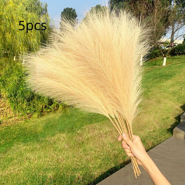 ce770e5fd0cfaee9ec280a9c75bb128a