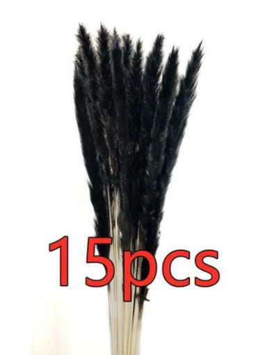 a99a602f249af9cbf6466ba3e6e27001