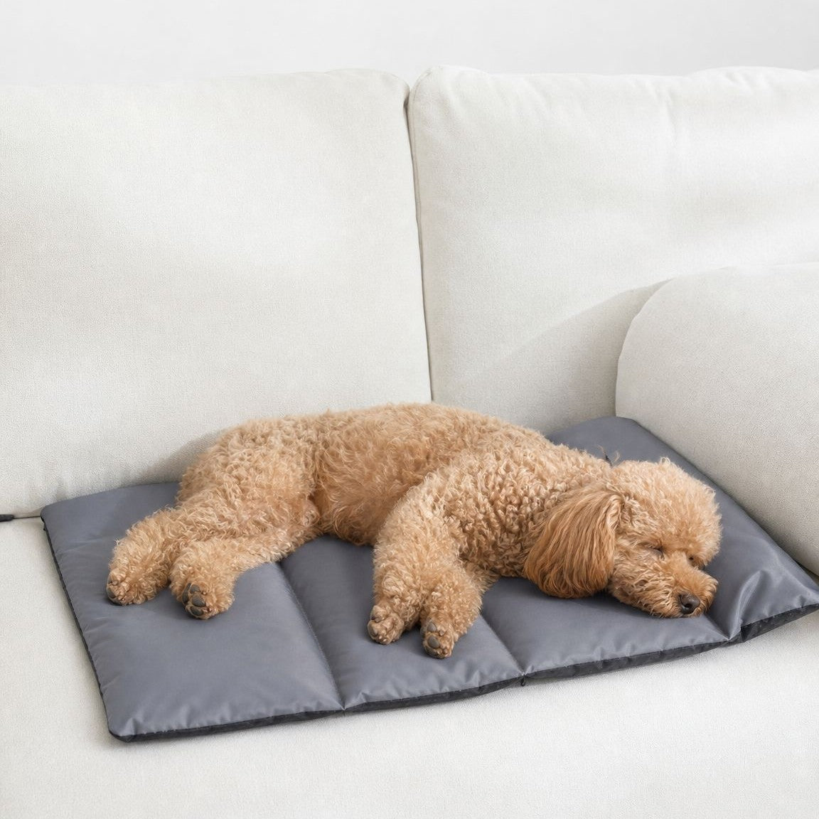 Waterproof Dog Mat ,  Machine Washable Portable Floor Protector For Indoor Outdoor All-season Pet Sleep Pad Suitable For Both Cats And Dogs For Outdoor Travel Waterpro
