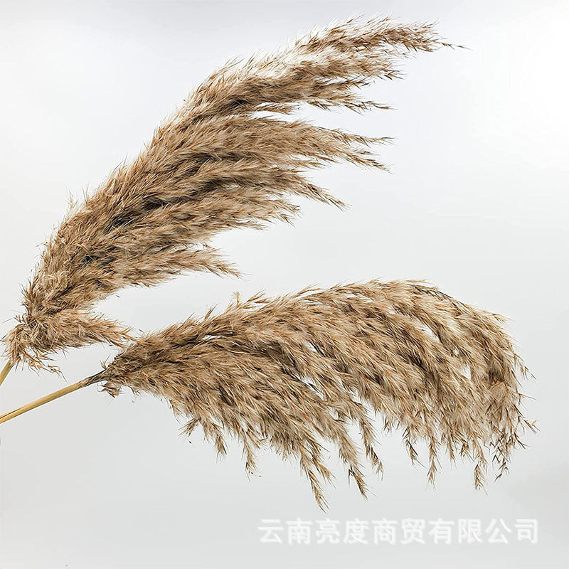 cdcc2c5f6e0277b655a124ca308be70f