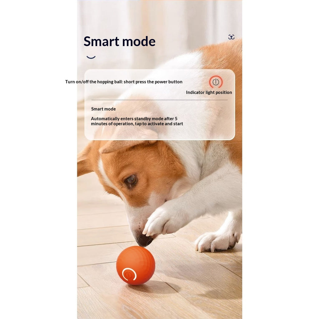 Gravity Bouncing Electric Interactive Dog Toy Ball For Self-Play, Suitable For Large Dogs & Cats.