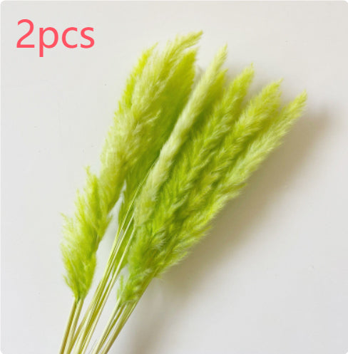 4d823bd9296749ef7b732f1cf363bac