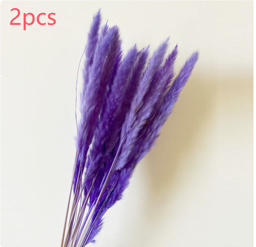 5cb227989ab9acc102ca2926e28fb3b1