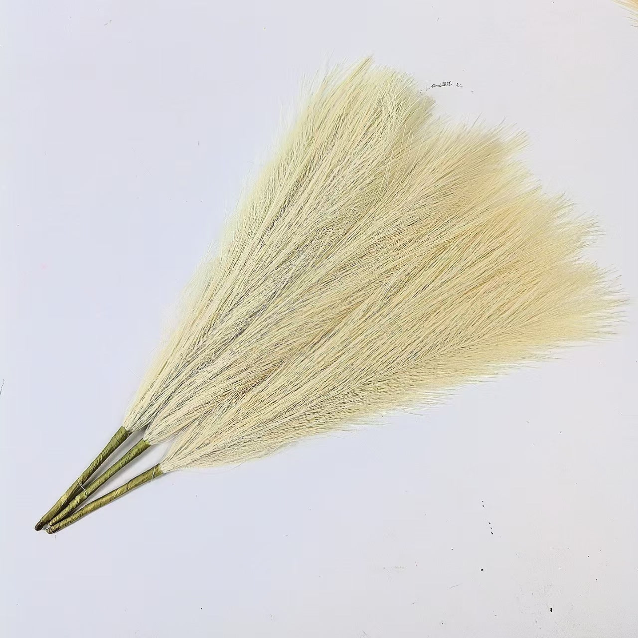 b47cb31ad77a497e3519358b07f858b9